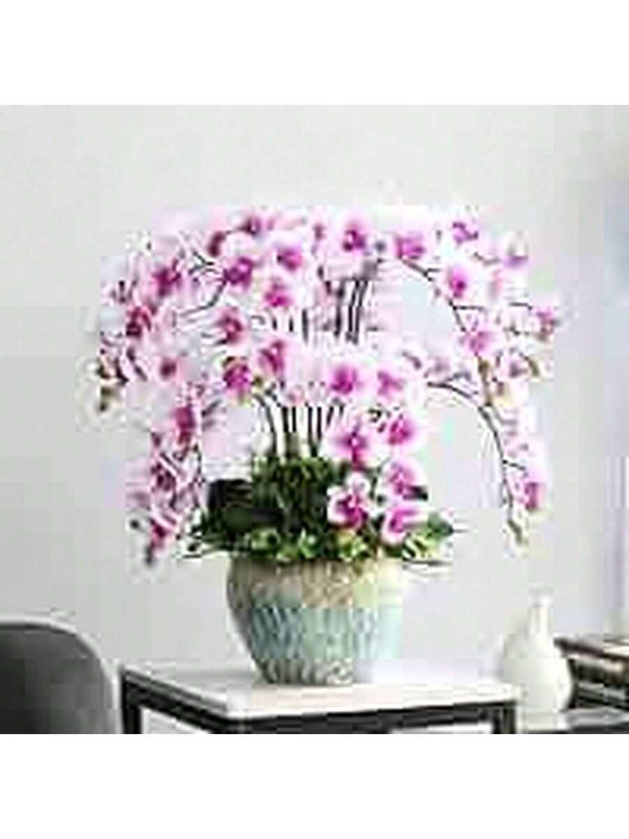 100 Semillas de Orquídea Mariposa