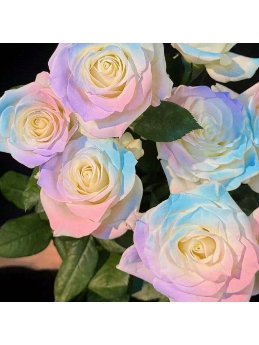 100 Semillas  (Flores de Tono Rosa Suave)