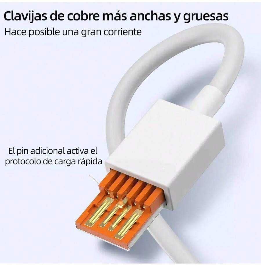 Cargador de pared