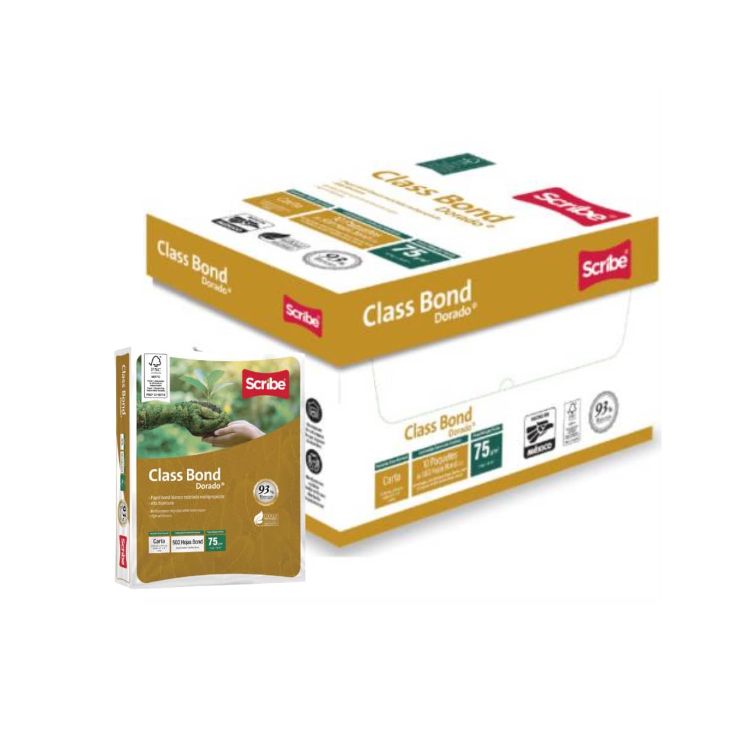 Caja con 10 Paquetes de Papel Bond Blanco