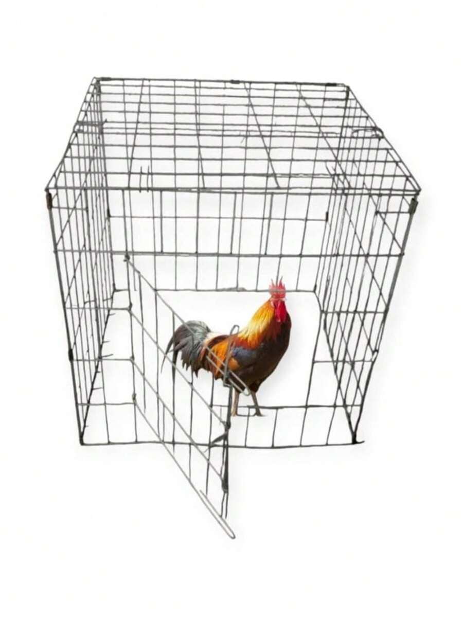 jaulas para gallo
