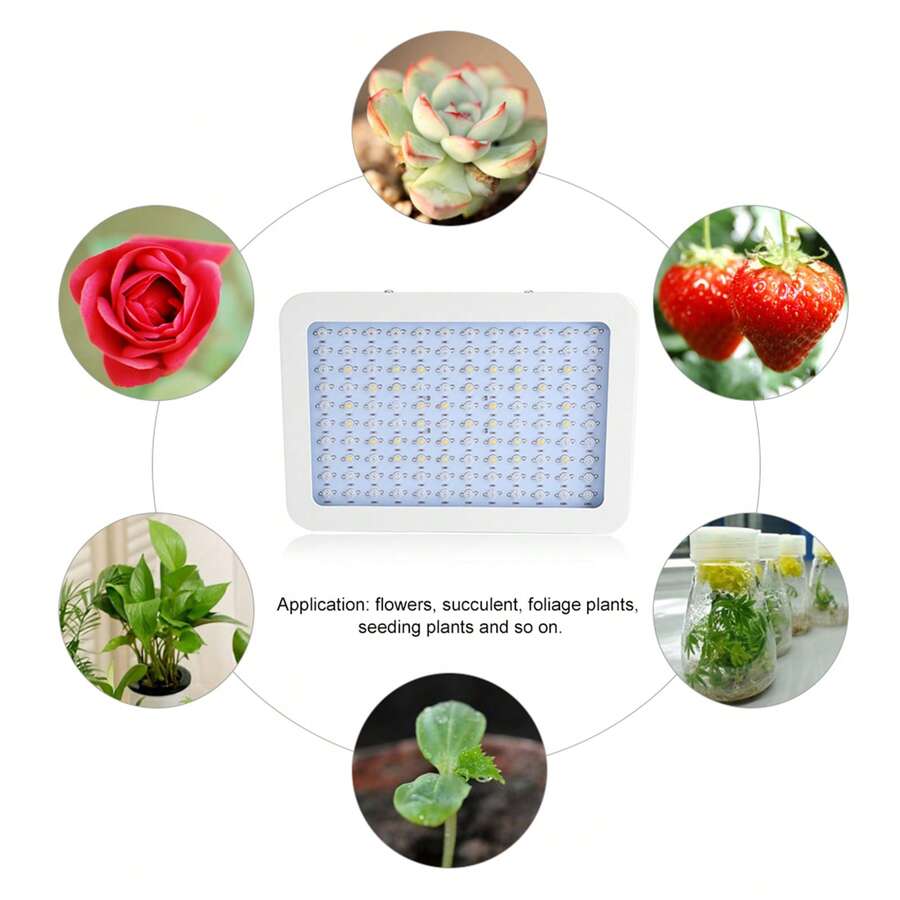 LED Grow Light para Plantas