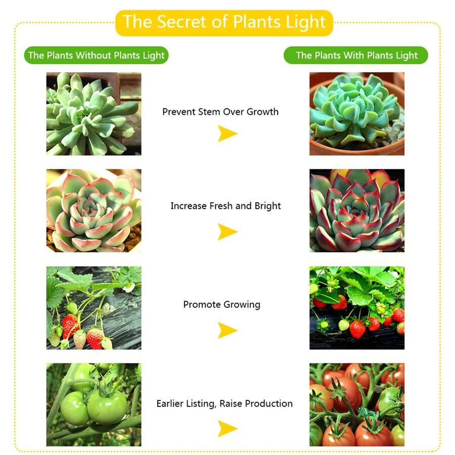 LED Grow Light para Plantas