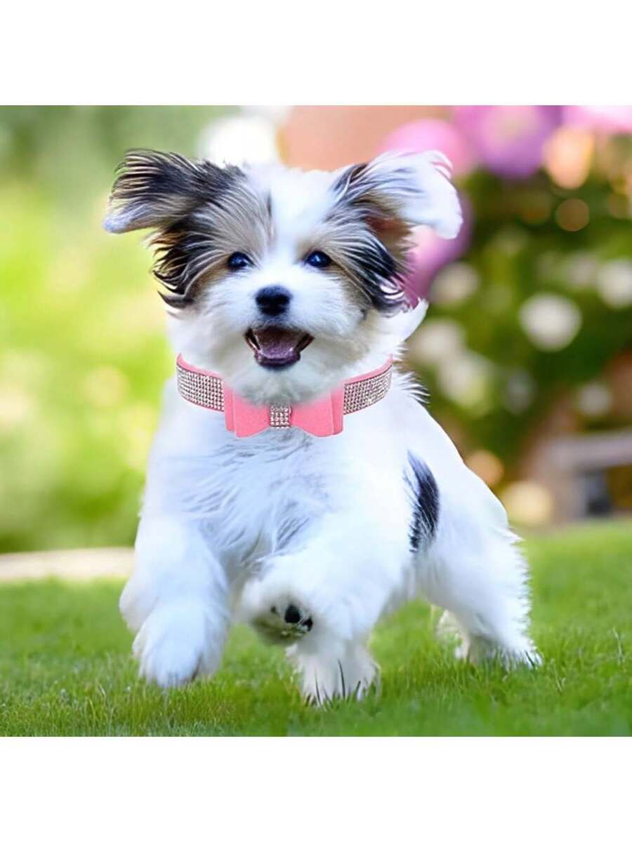 Collar De Entrenamiento Para Perro Ajustable