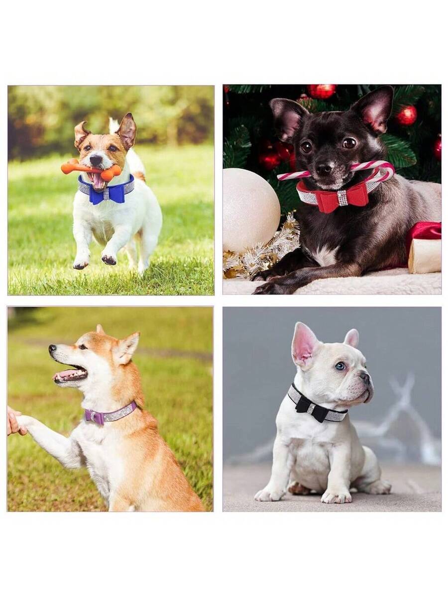 Collar De Entrenamiento Para Perro Ajustable