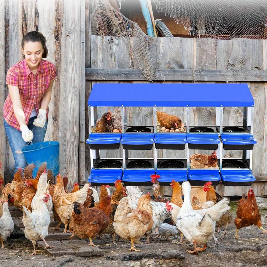 Cajón de Nidificación de Metal para Gallinas de 10 Huecos