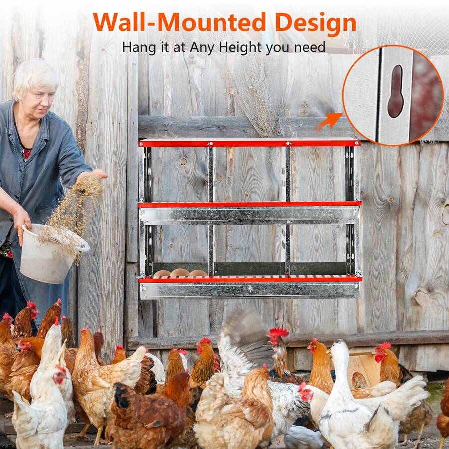 Cajas de Nidificación para Gallinas de 6 Huequeros