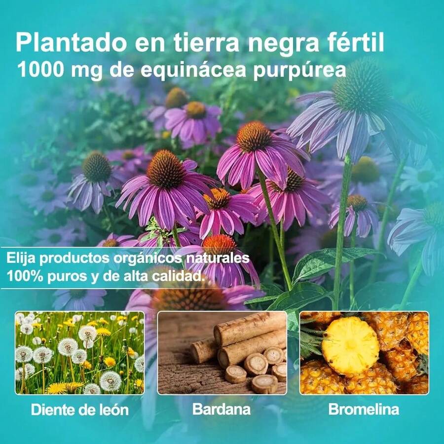 Elfleaf 7 en 1 Clorofila