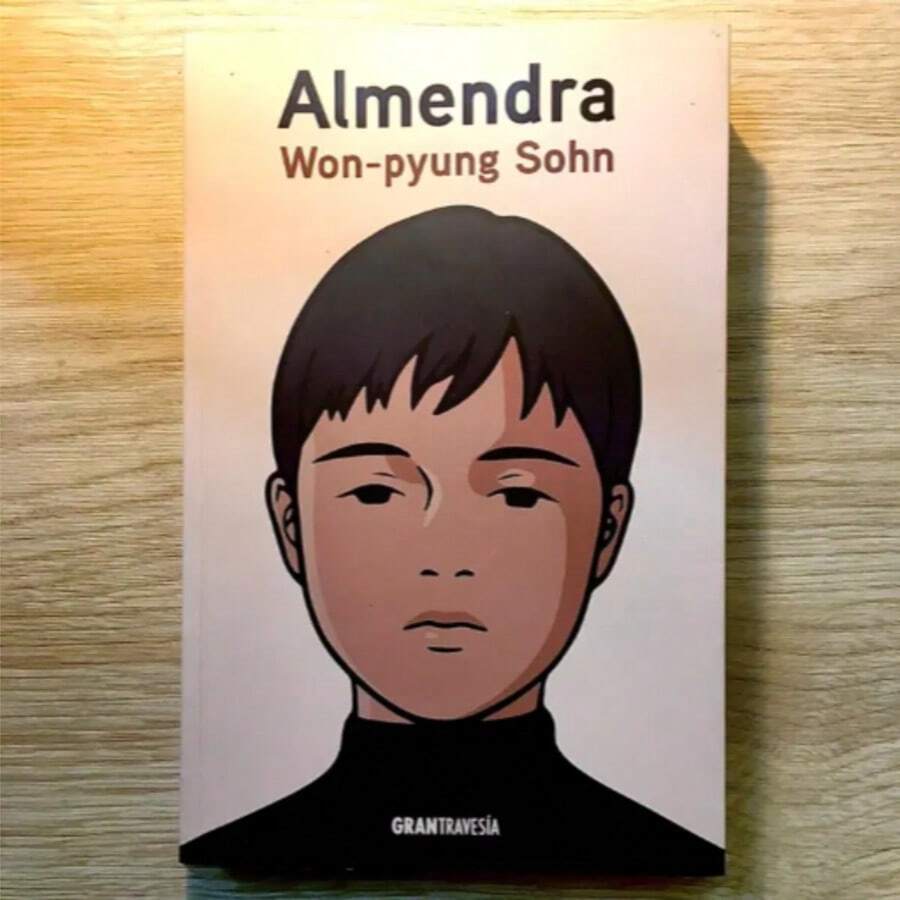 Libro Almendra - Won-pyung Sohn