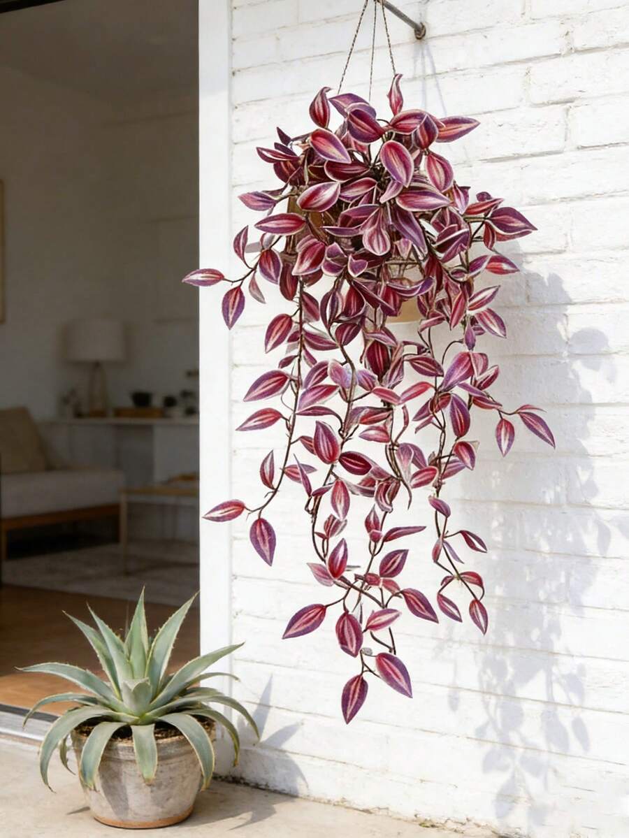 75cm plantas colgantes falsa