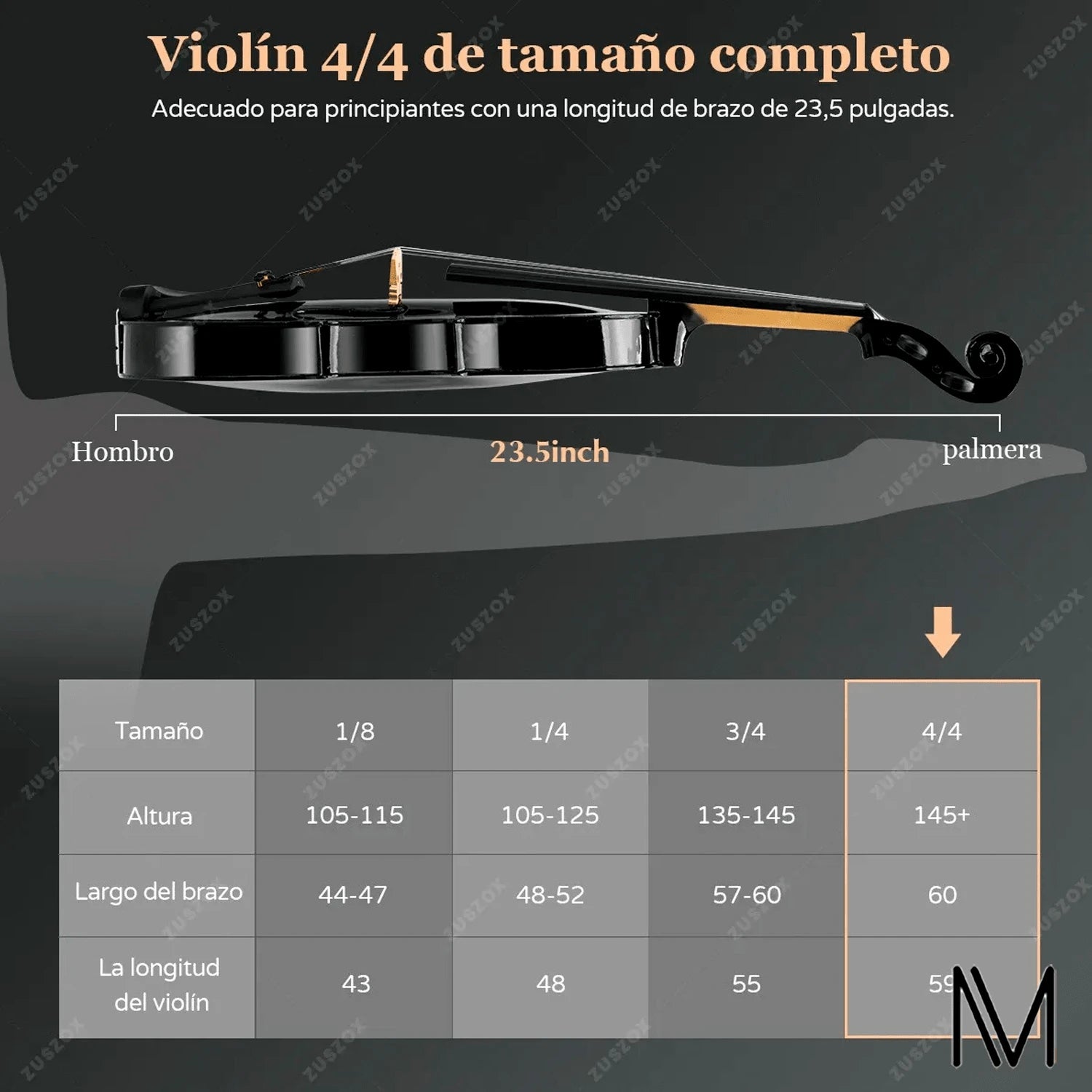 Violin Acustico