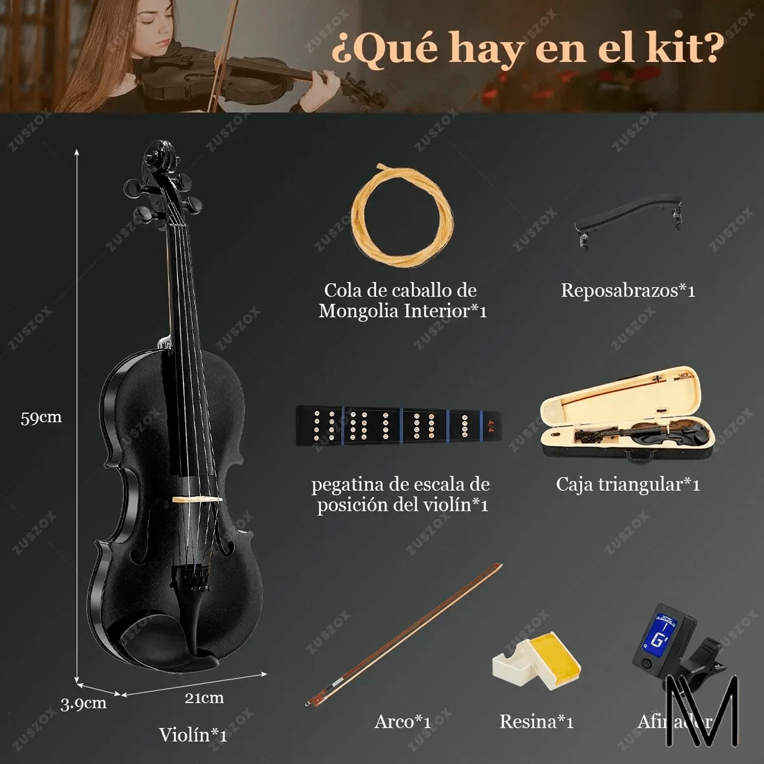 Violin Acustico