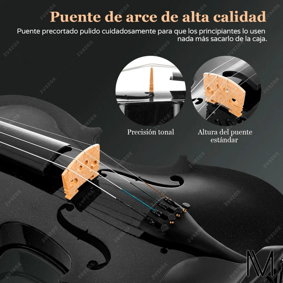 Violin Acustico