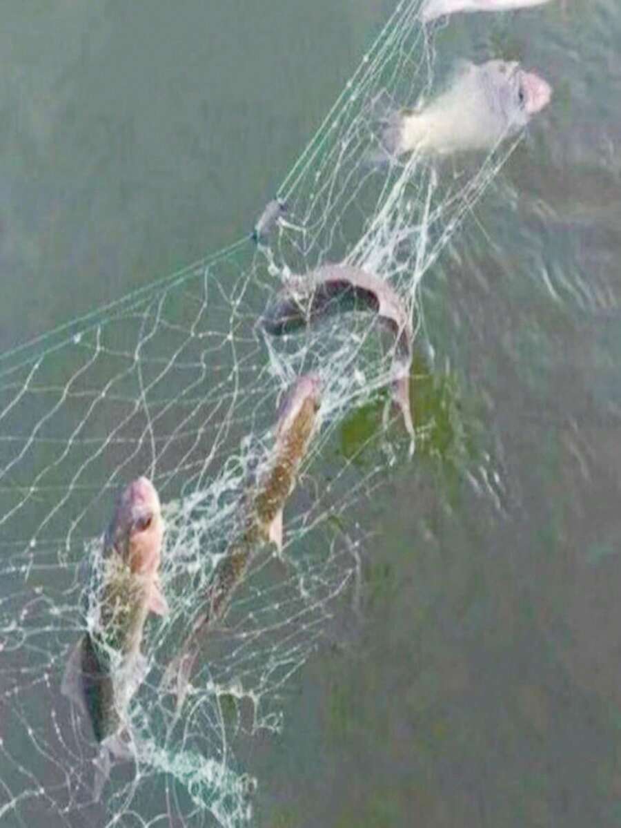 Red de pesca