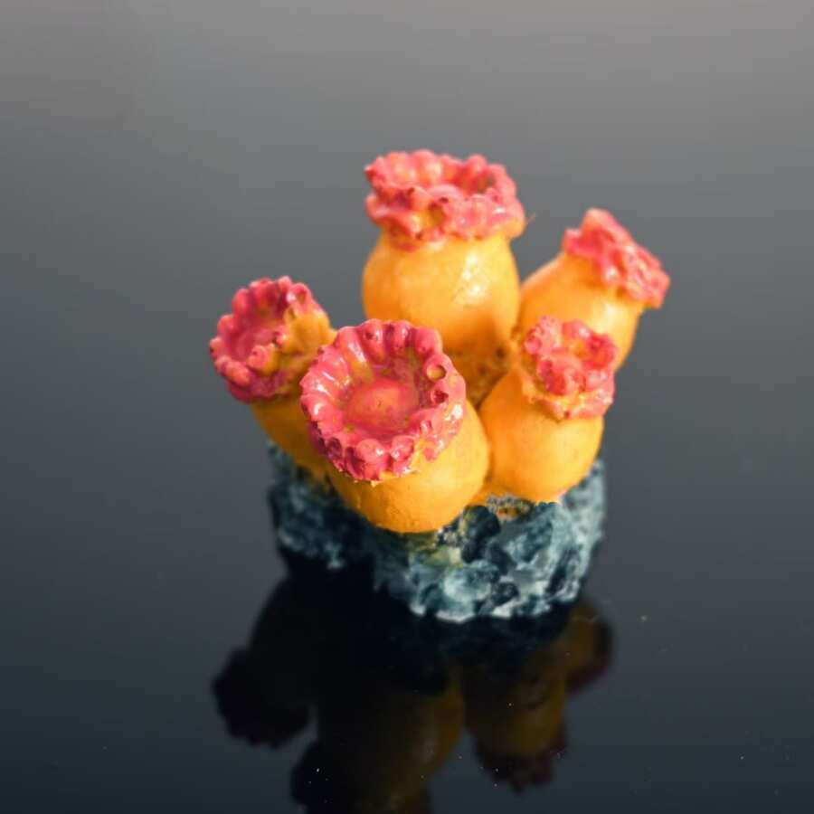 Set de 5 piezas de decoración de coral artificial