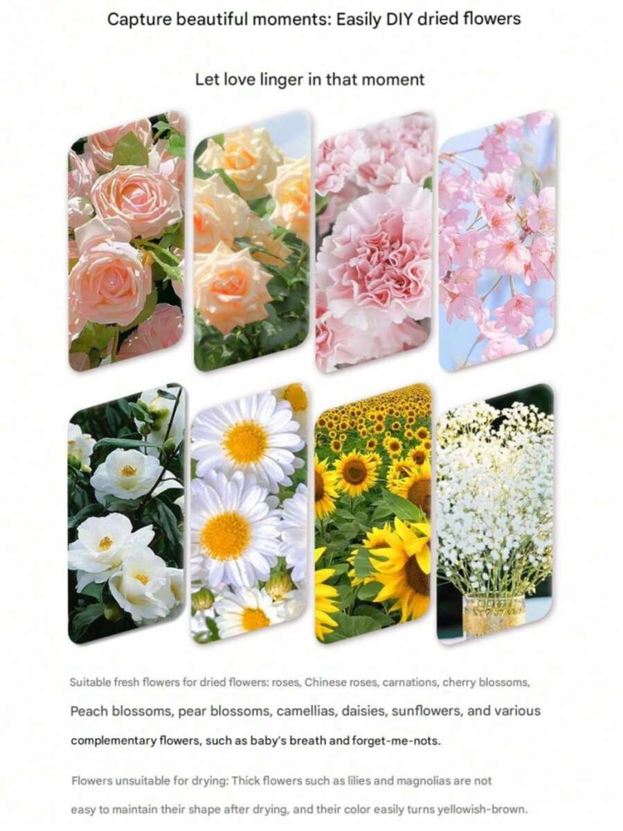500g/Botella Gel de sílice desecante para flores, Agente de preservación floral