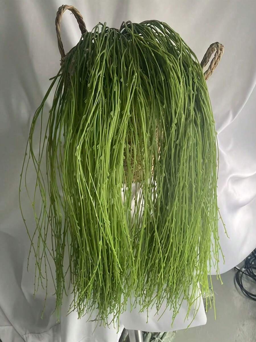 Plantas artificiales en maceta, plantas falsas pequeñas