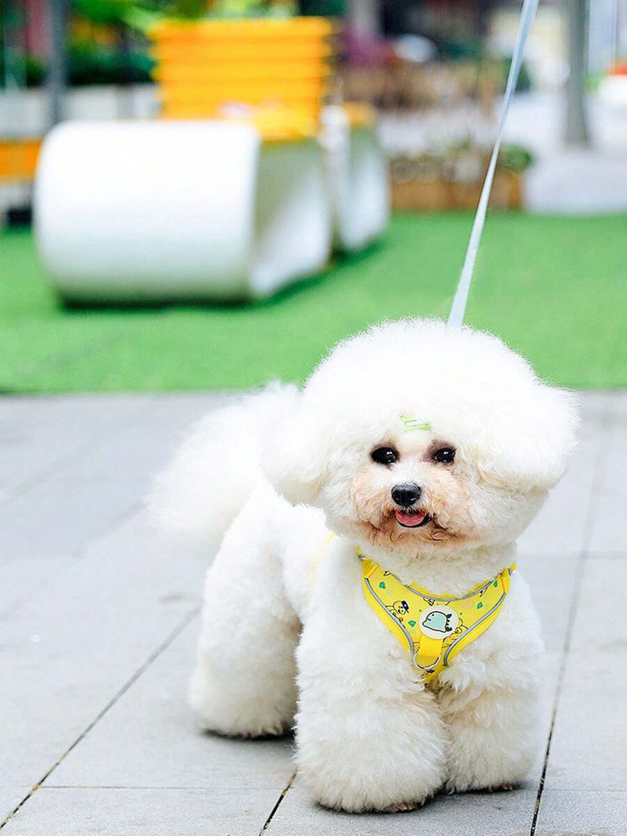 Conjunto de arnés y correa para mascotas (gatos y perros)