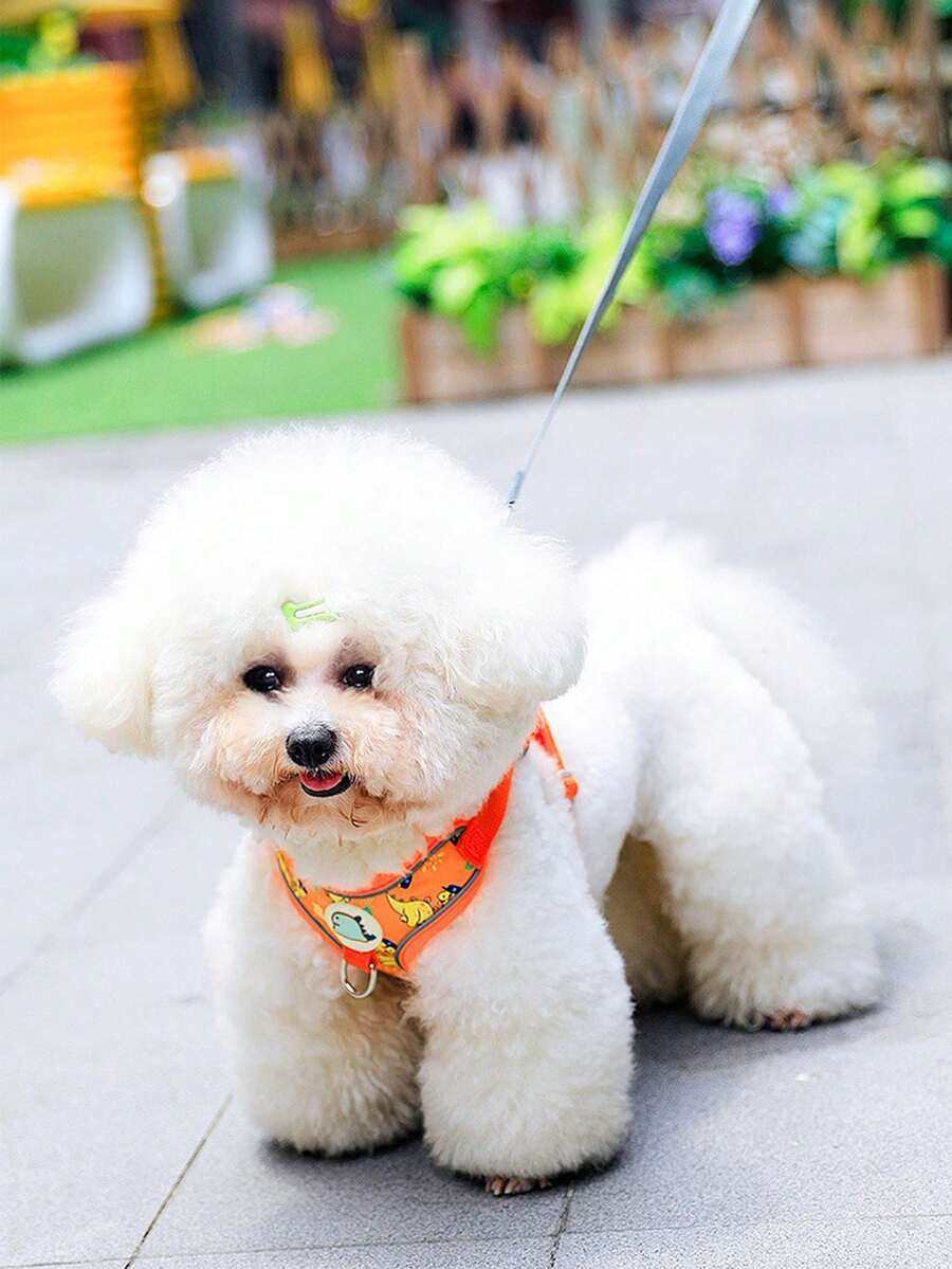 Conjunto de arnés y correa para mascotas (gatos y perros)