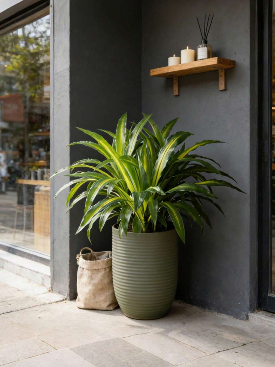 Árbol artificial de Dracaena con hojas de palma de plástico