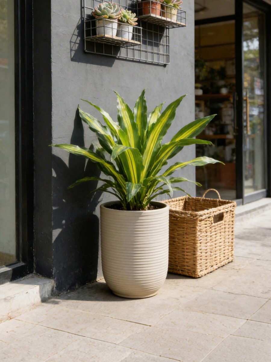 Árbol artificial de Dracaena con hojas de palma de plástico
