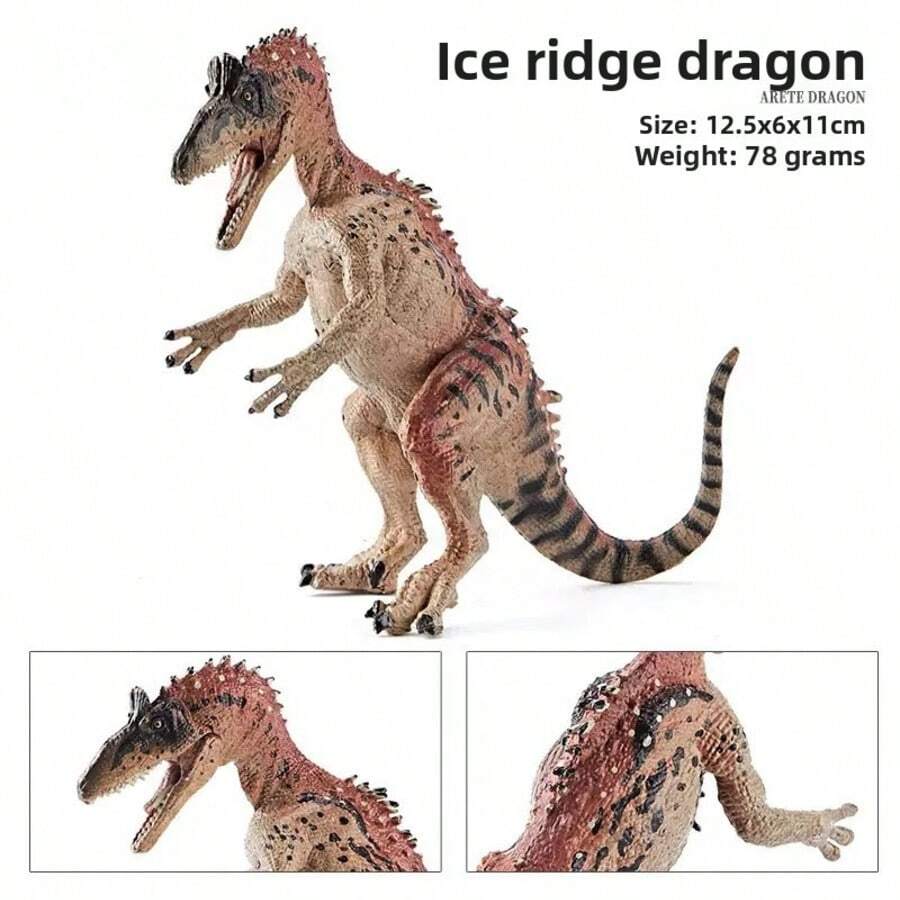 1 Set Modelo de Dragón