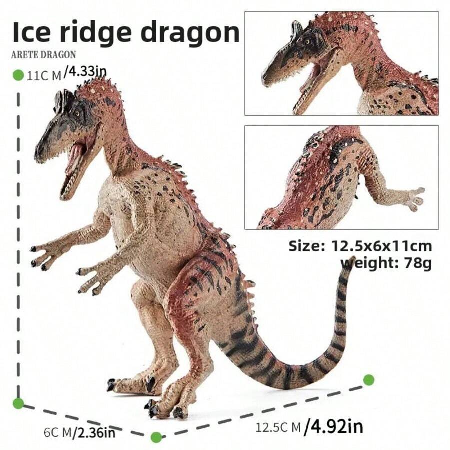 1 Set Modelo de Dragón