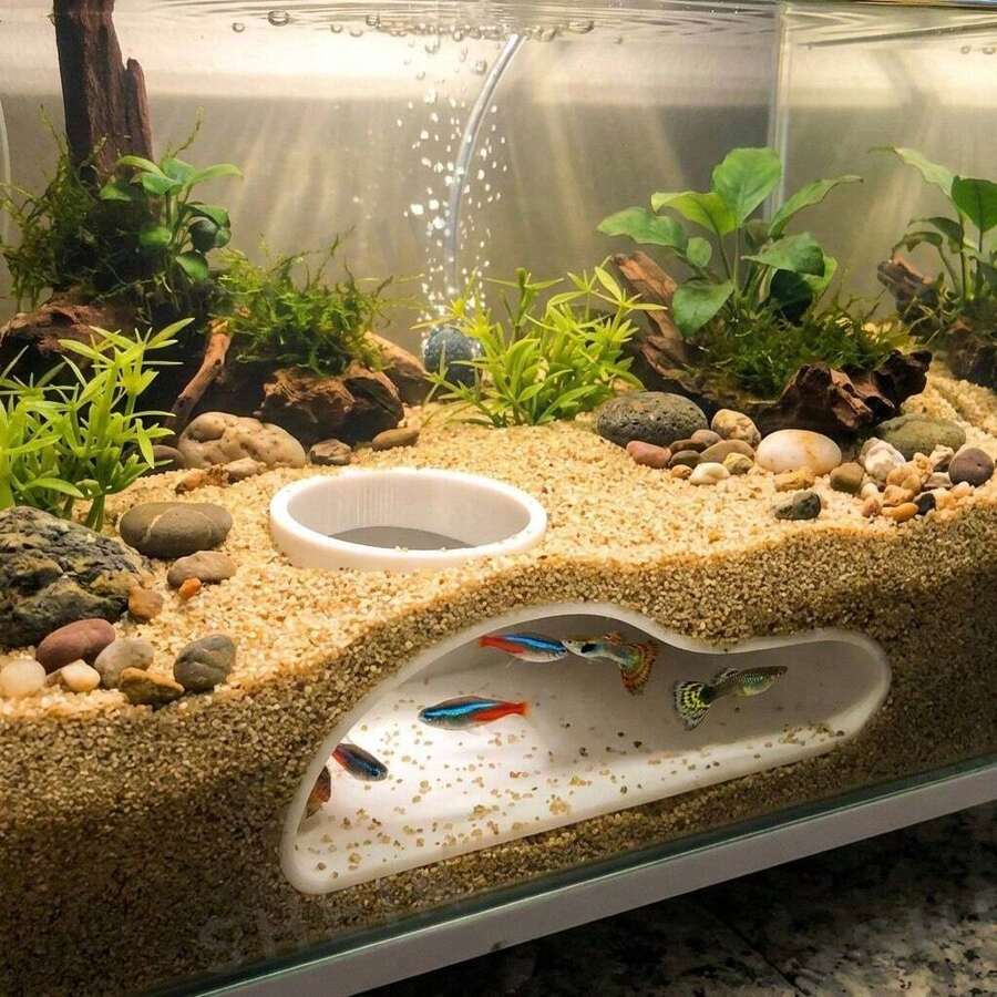 Túnel de acuario para peces