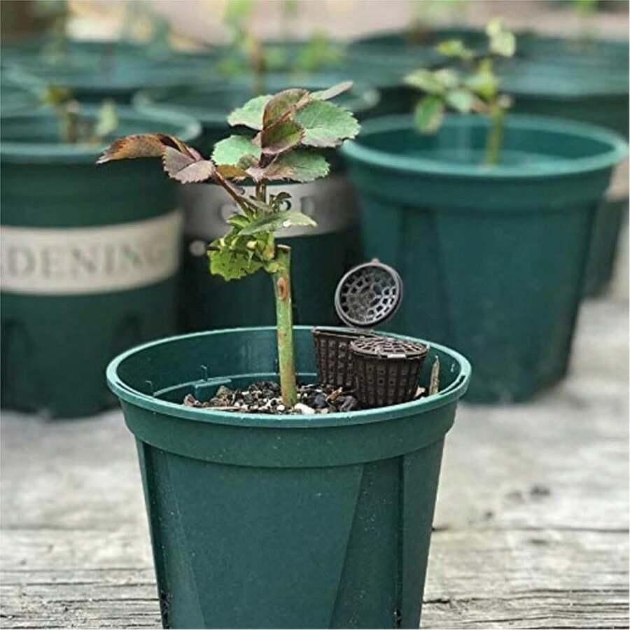 Cestas de fertilizante de plástico para plantas