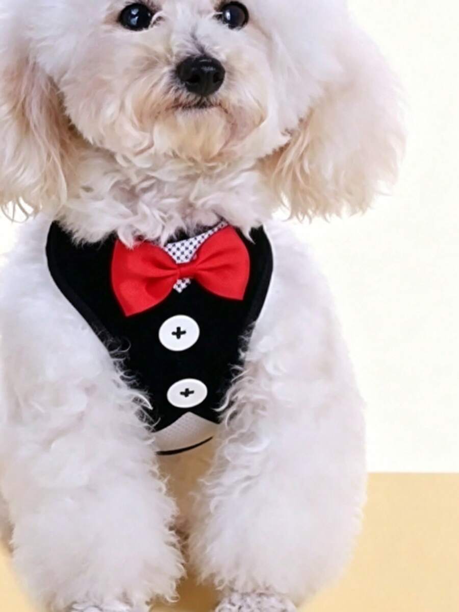 Conjunto de arnés y correa para mascotas (gatos y perros)