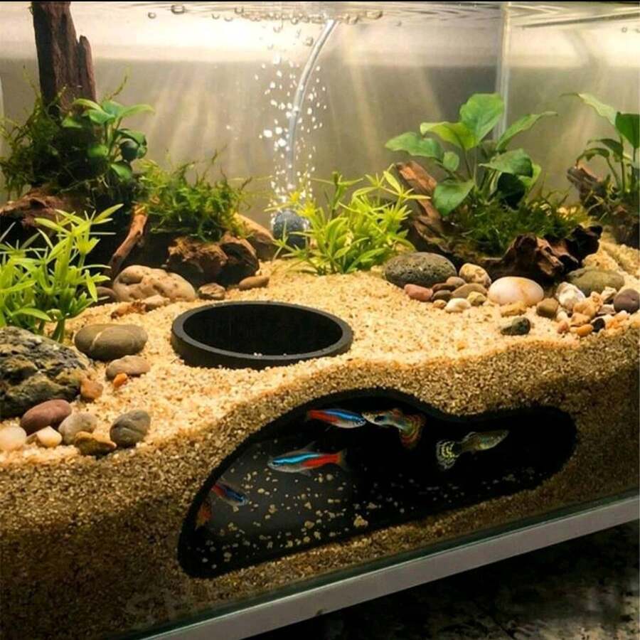 Túnel de acuario para peces