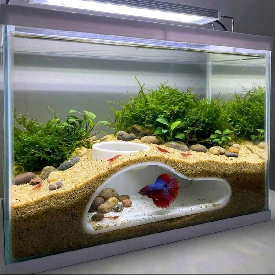 Túnel de acuario para peces