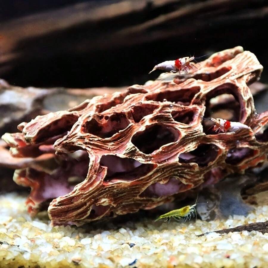 Cueva oculta para acuario, nido de camarones