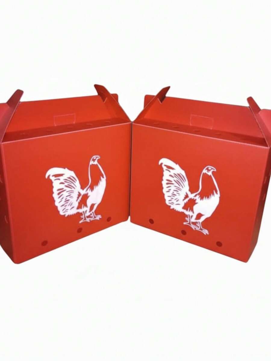 caja de transporte plastica