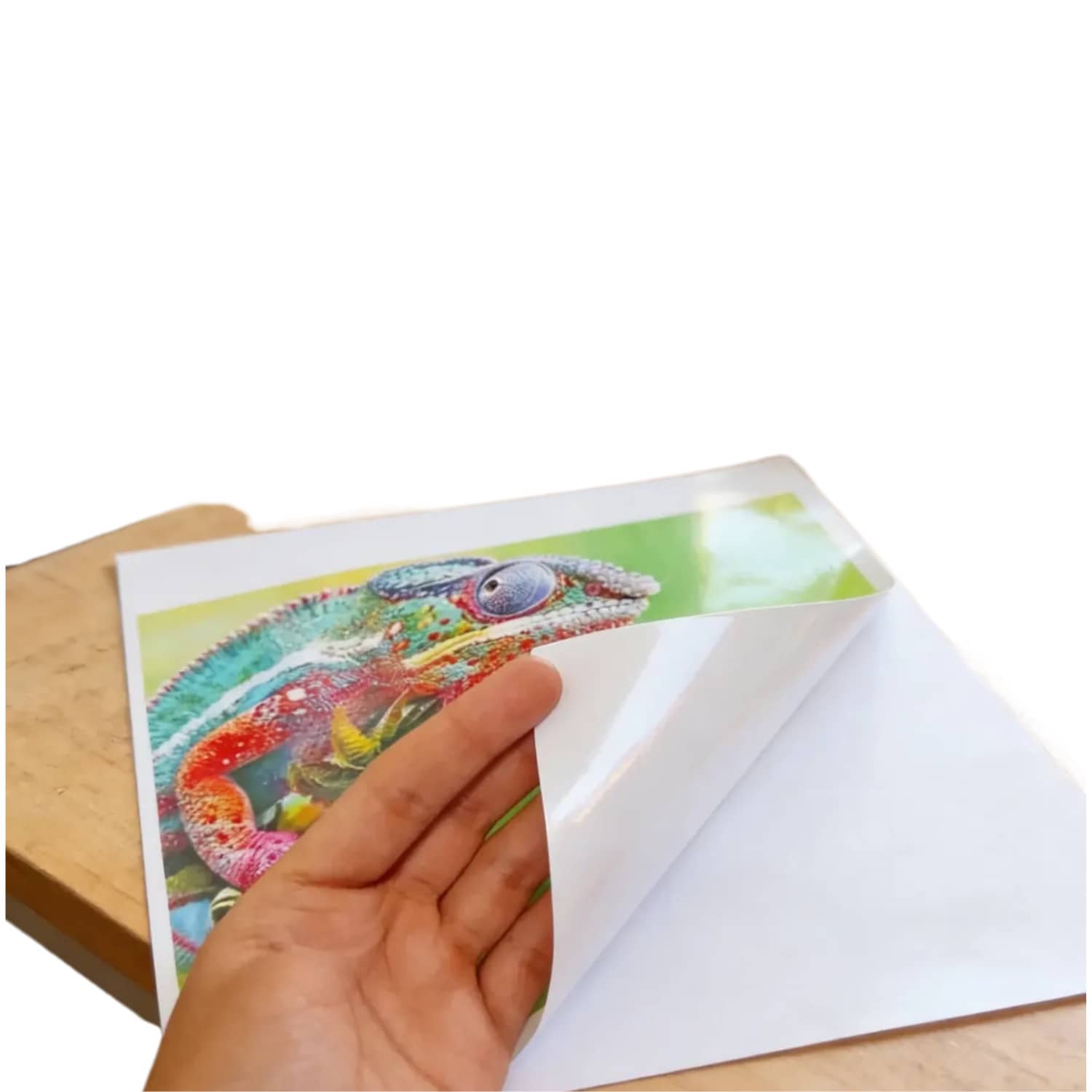 Papel Fotográfico Adhesivo
