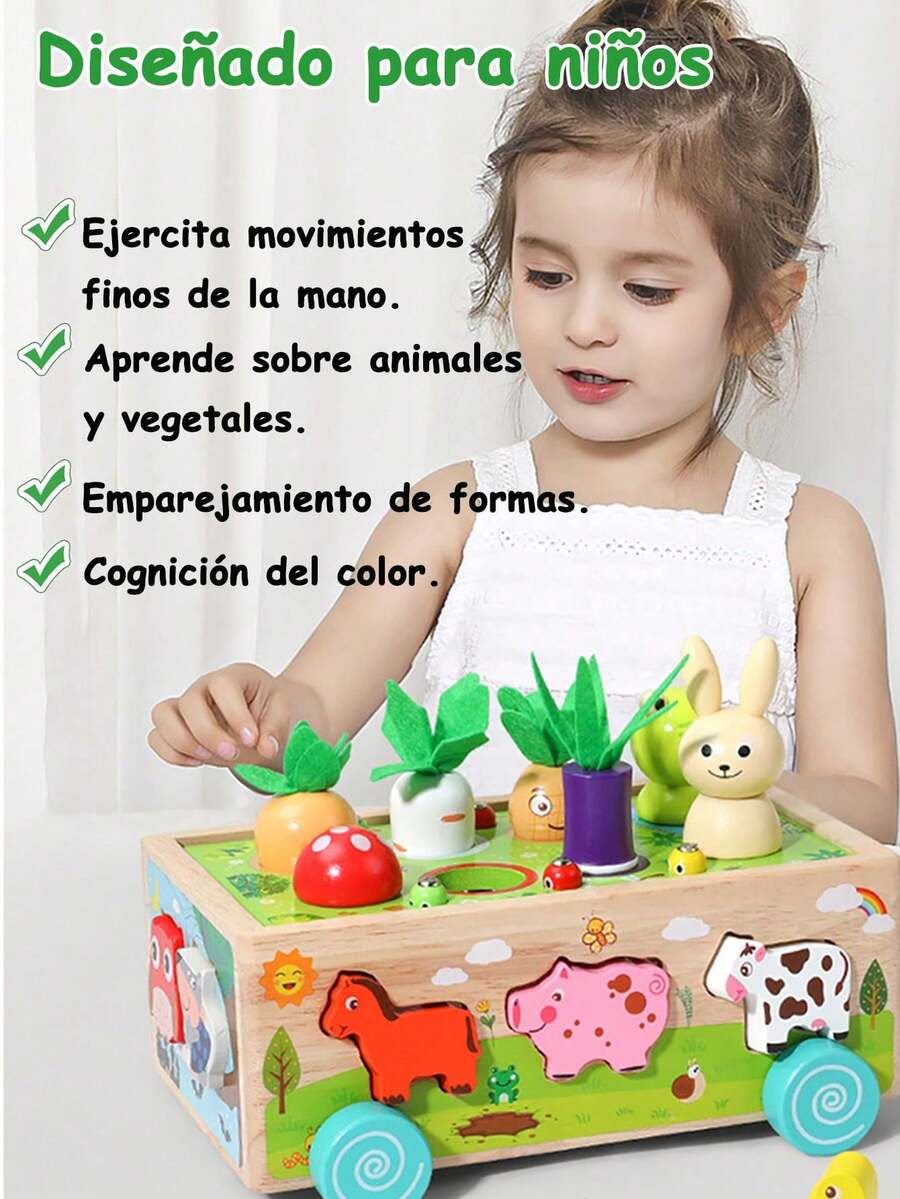 Juguete Montessori educativo de madera