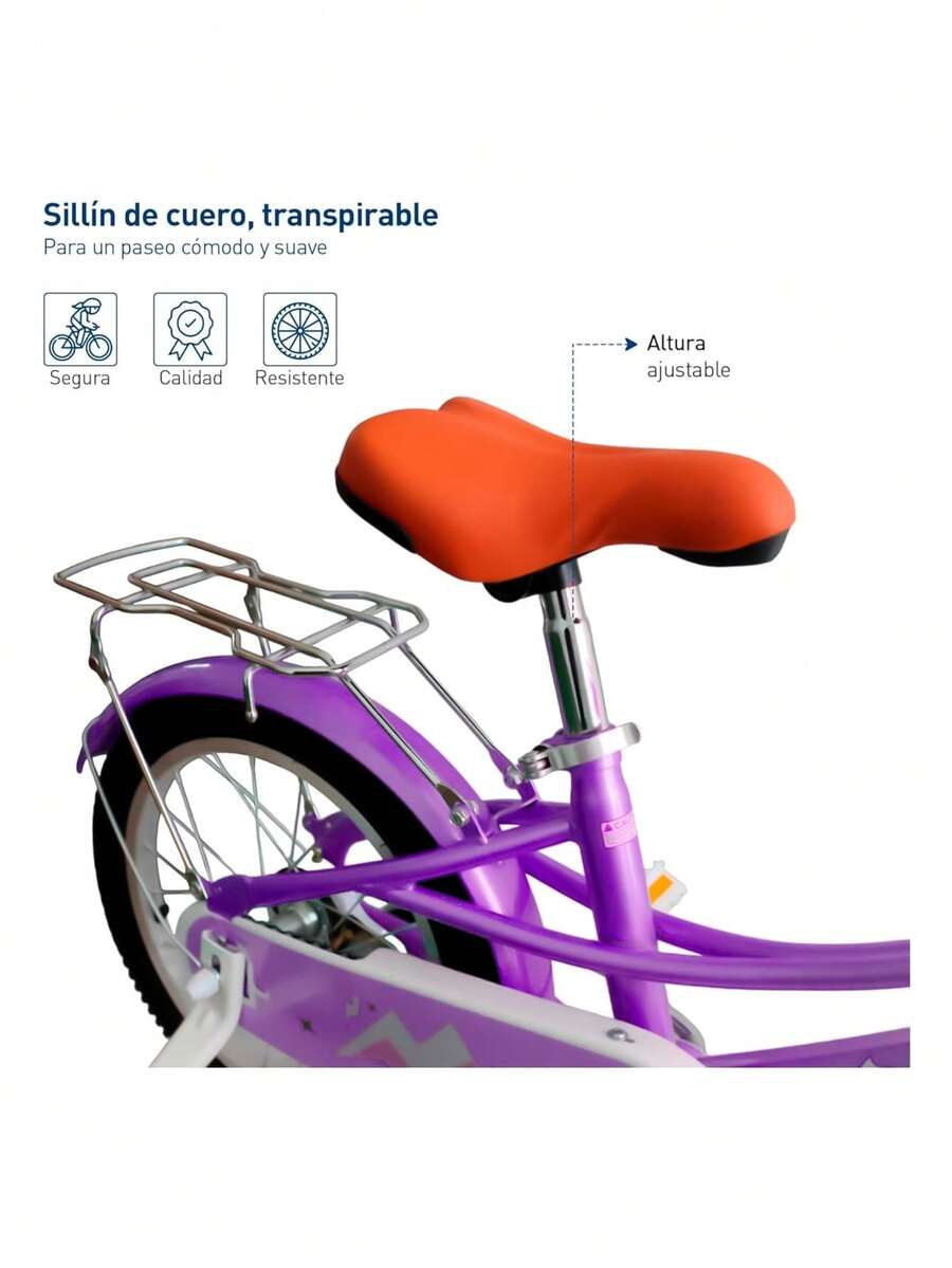 Bicicleta Infantil