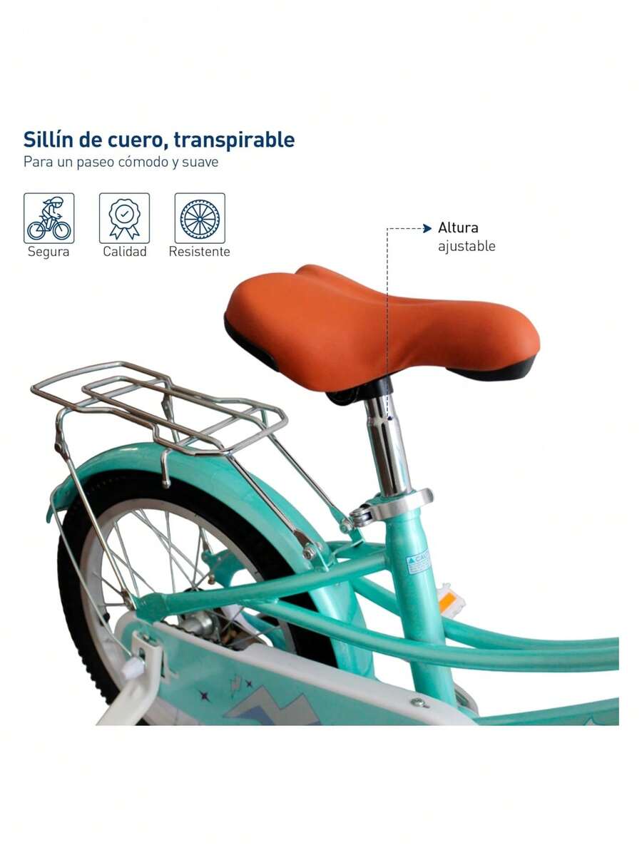 Bicicleta Infantil