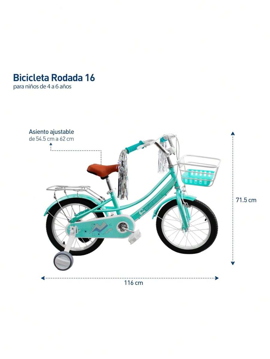 Bicicleta Infantil
