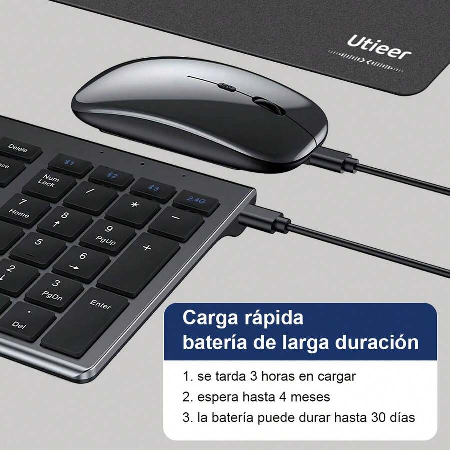 Teclado y Ratón Inalámbricos