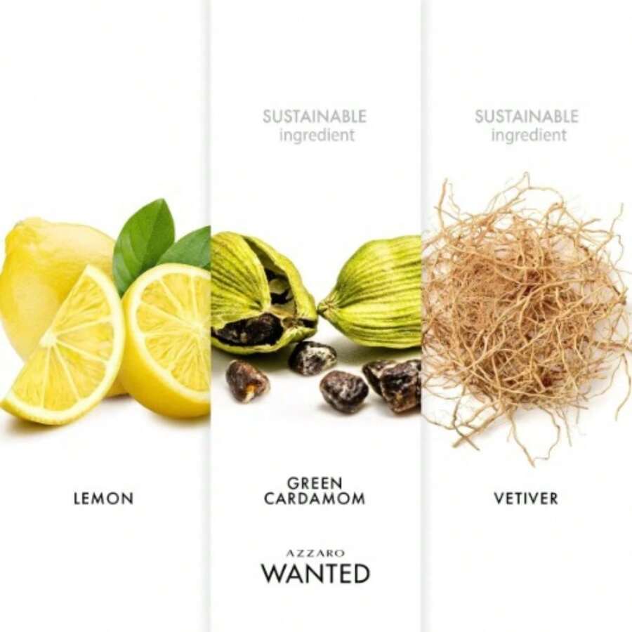 Perfume Azzaro Wanted Eau De Toilette Amaderado 100ml