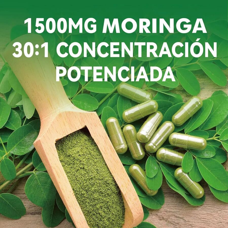 Gwynne Moringa