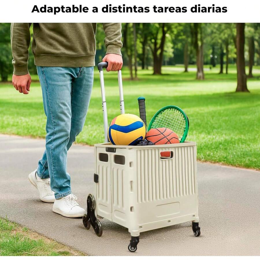 Carrito de Mandado