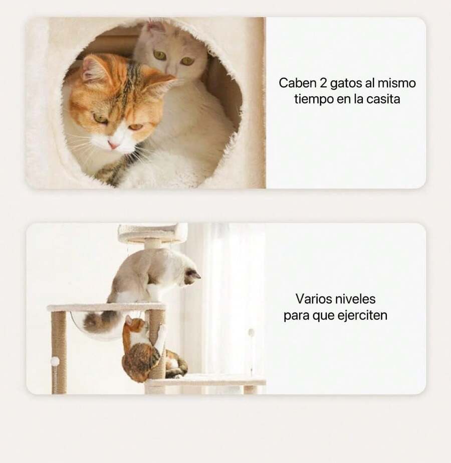 Rascador para Gatos