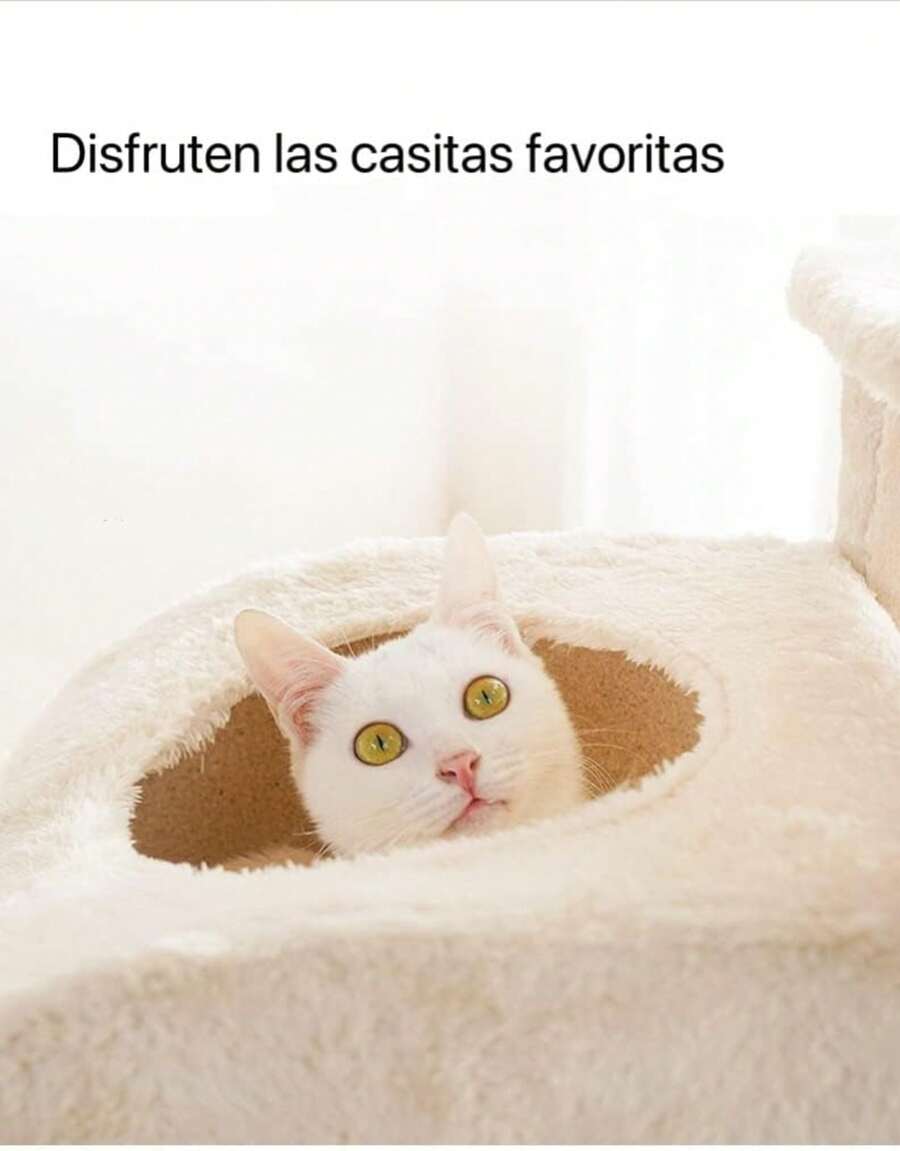 Rascador para Gatos