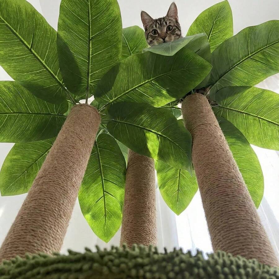 Rascador de gatos