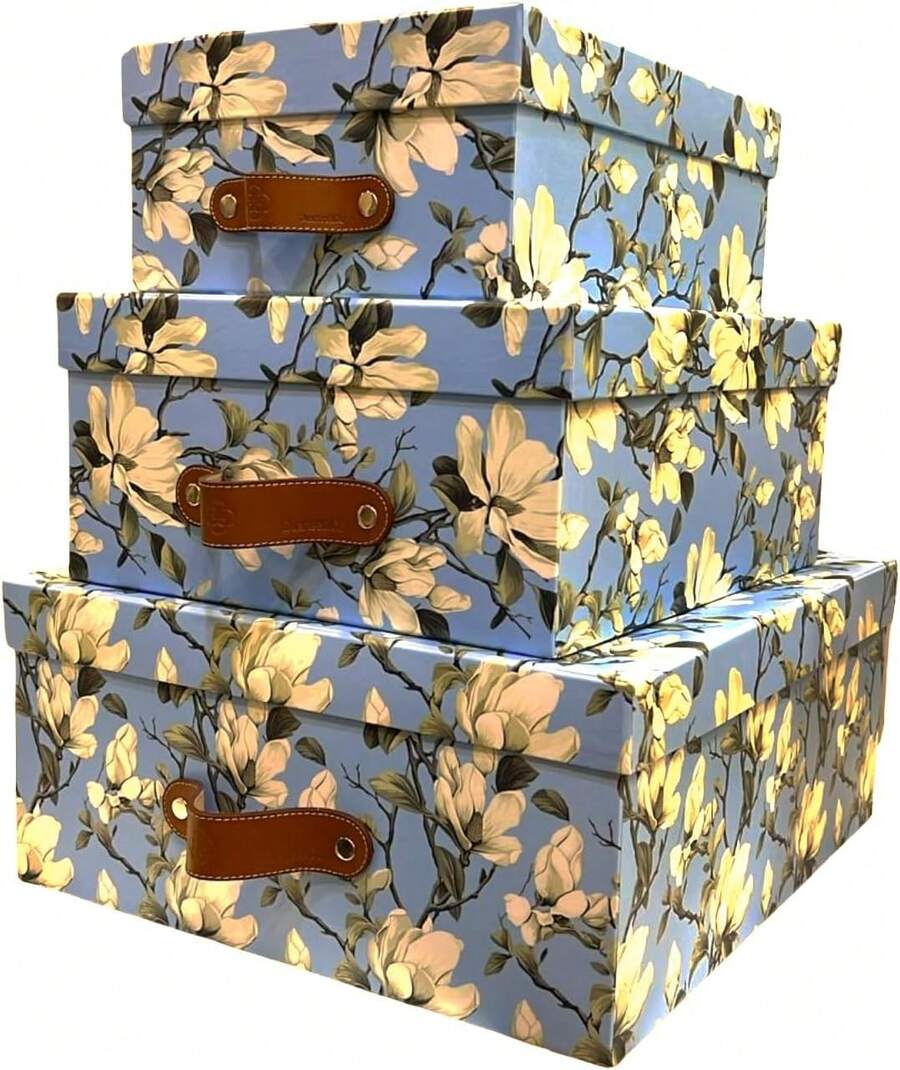 3 Cajas Organizadoras