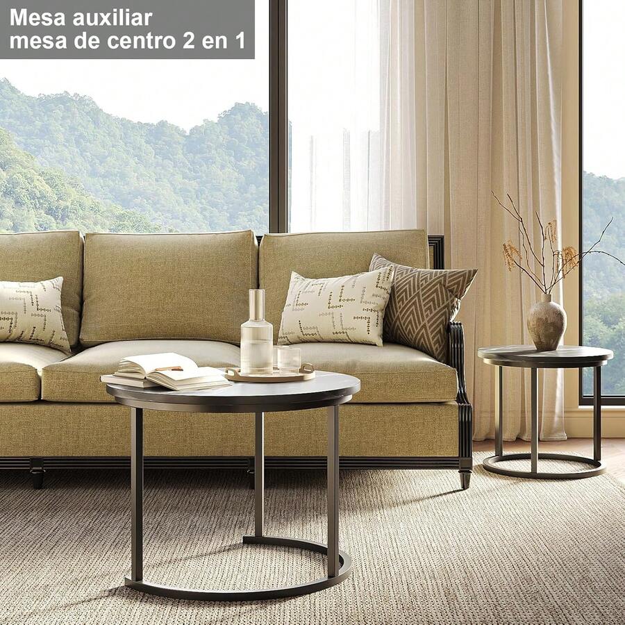Juego de 2 Mesa de Centro