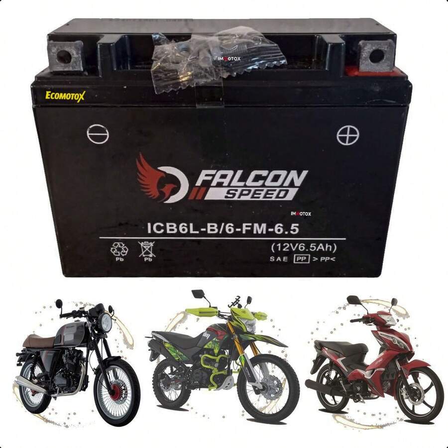 Batería YB6L-B 12V para FT125 / 125Z/ FT125 TS / FT150 Grafito / DM150 /