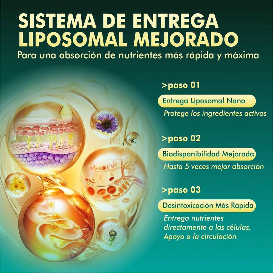 Suplemento de Drenaje Linfático
